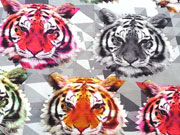 Jersey Digitaldruck Tiger