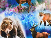 Jersey Digitaldruck Fr�hling in Alaska, bunt