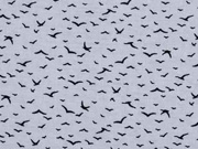 Viskose Vogelschwarm kleine V�gel, hellblau