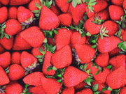 Jersey Digitaldruck Erdbeeren