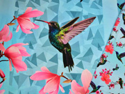 Jersey Kolibri Panel 2 in 1, t�rkis