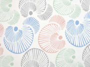 Organic Jersey F�cher Muscheln, weiss