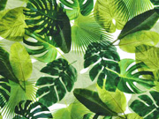 Jersey Digitaldruck Palmbl�tter gr�n