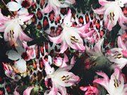 Jersey Digitaldruck Lilien Leoparden Muster