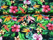 Jersey Digitaldruck Dschungel Blumen Bl�tter Orchideen, gr�n schwarz