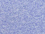 Softshell Stoff  Sports uni, jeansblau meliert