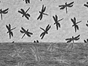 Jacquard Jersey Libellen, hellgrau