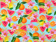 Jersey Melonen Orangen Digitaldruck, orange hellt�rkis