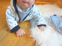 angerauter Sweat Melange - hellbeige