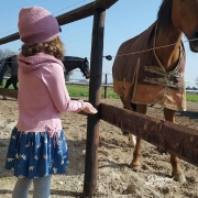 leichter Jeansstoff Pferde, gold Glitzer jeansblau