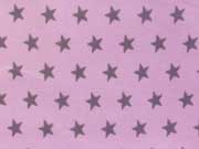 BW Sterne 1 cm - taupe auf rosa